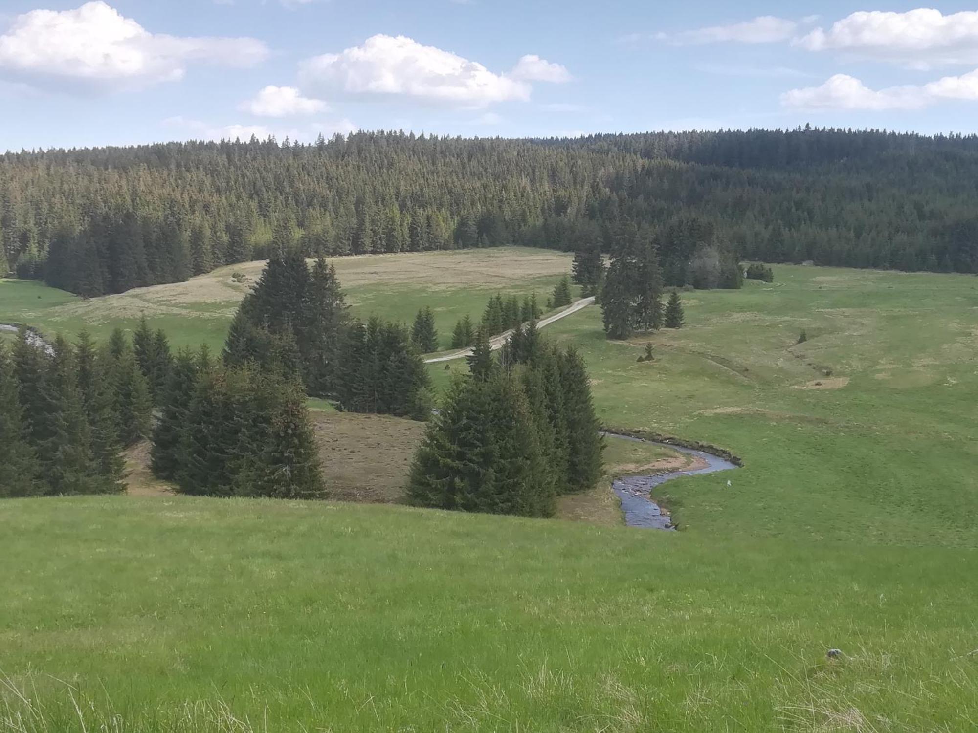 Ferienwohnung Zern Йоганнгґеорґенштадт Екстер'єр фото